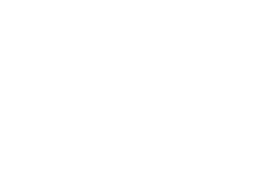 Attic Cleaning & Rat Control