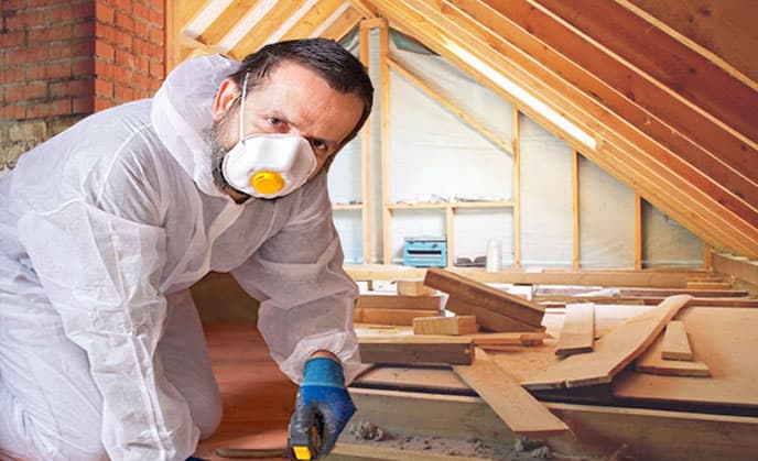 Attic Cleaning Services