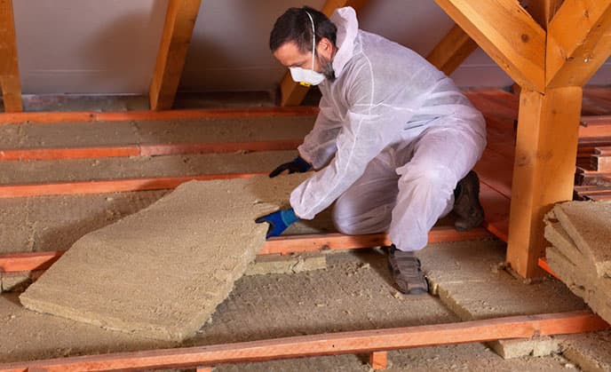 Attic Decontamination